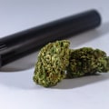 How A Loyalty Program At A Dispensary Can Benefit Pipes And Cigars Enthusiasts In Ferndale?
