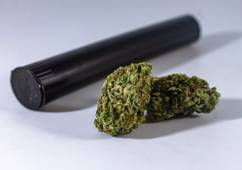 How A Loyalty Program At A Dispensary Can Benefit Pipes And Cigars Enthusiasts In Ferndale?